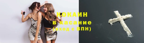 стаф Магадан