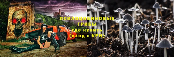 стаф Магадан
