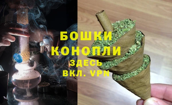 ПСИЛОЦИБИНОВЫЕ ГРИБЫ Майский