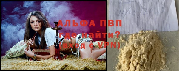 стаф Магадан