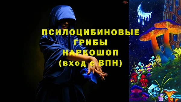 ПСИЛОЦИБИНОВЫЕ ГРИБЫ Майский