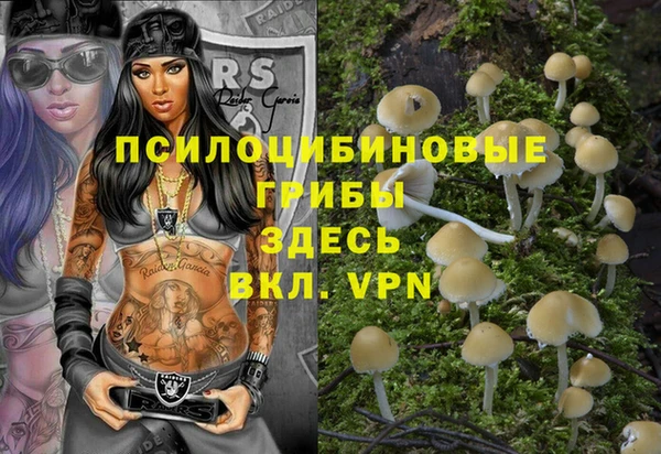 стаф Магадан