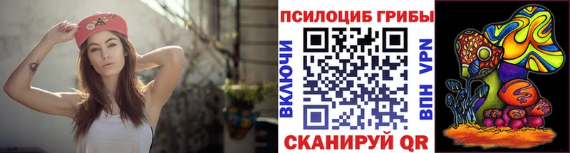 Псилоцибиновые грибы Psilocybine cubensis Трёхгорный